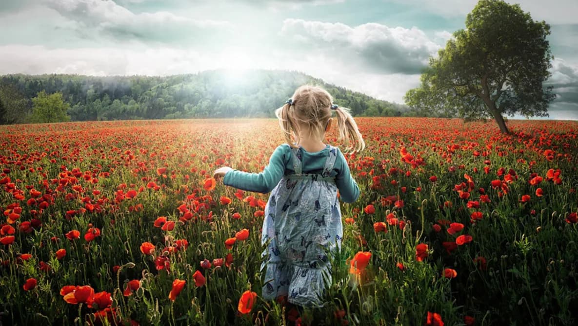 Întoarcerea copilăriei - El regreso a la infancia